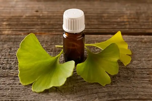 What is ginkgo biloba leaf extract?